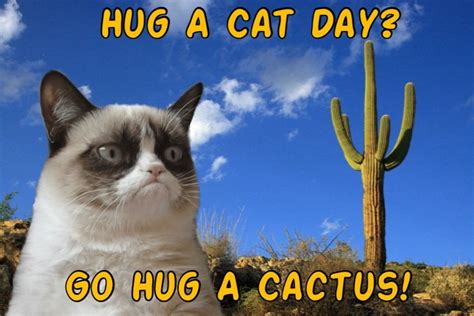 Hug A Cat Day Grumpy Cat Says Go Hug A Cactus Grumpy Cat Grumpy Cat Humor Cat Day