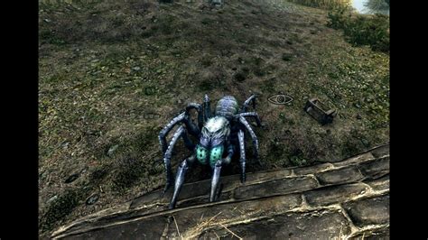 Pets Of Skyrim Spider Pet Location The Elder Scrolls V Skyrim
