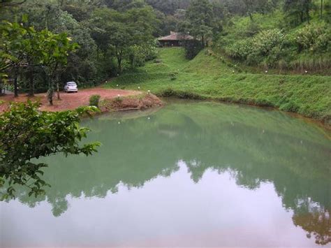 Ettevõte tooted & teenused kontakt. Rain Country Resorts, Lakkidi,Wayanad (Kalpetta, Kerala ...
