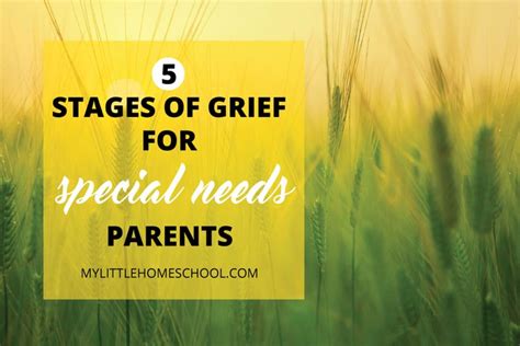 Special Needs Parents And The 5 Stages Of Grief Special Needs Stages