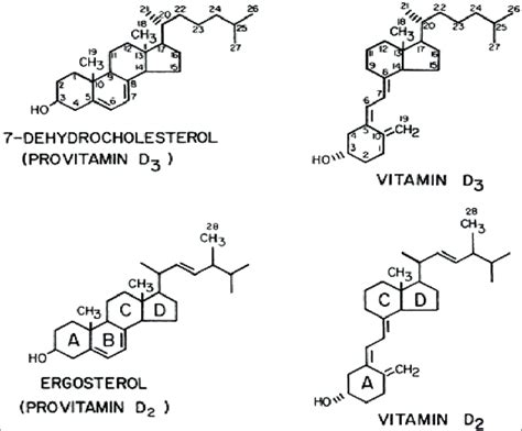 Structure Of Vitamin D3 And D2 And Their Respective Precursors