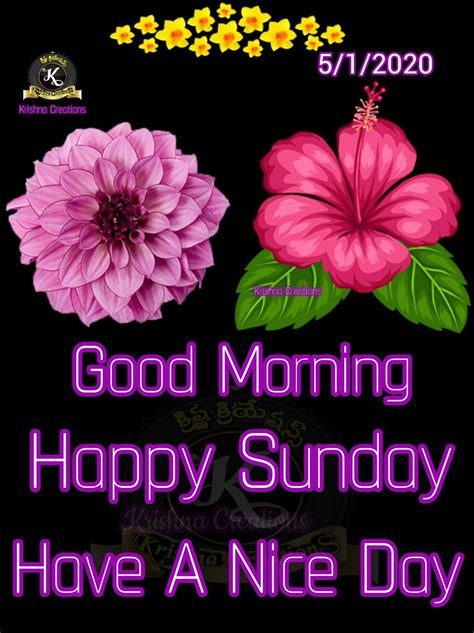 Collection Of Over 999 High Quality Good Morning Happy Sunday Hd Images