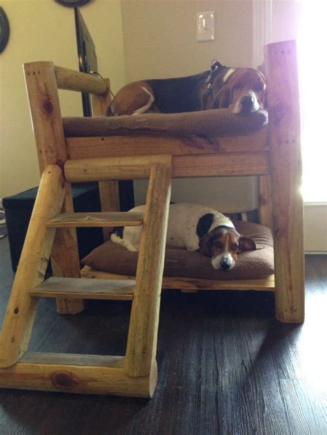 Dog Bunk Bed A Cool Way To Give Your Pets Their Own Personal Space