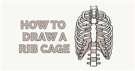 How To Draw A Rib Cage Really Easy Drawing Tutorial