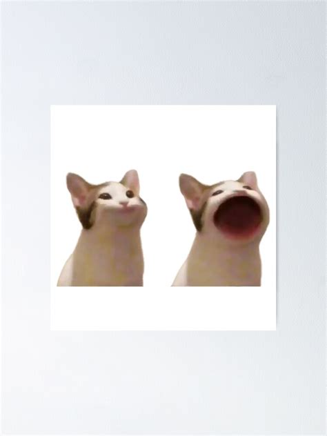 Popping Cat Meme Poster For Sale By Merch On Redbubble