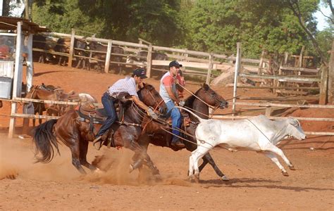 Team Roping Free Photo Download Freeimages