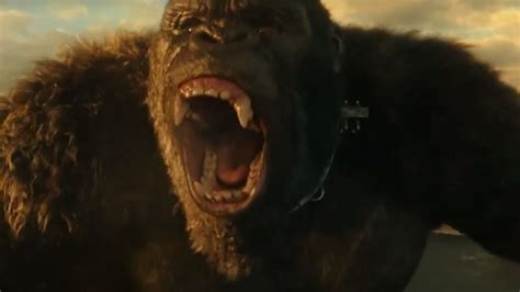 Kong is set to continue the story previously laid out in 2014's godzilla, 2017's kong: Godzilla Vs Kong Release Date 2021 : GODZILLA VS KONG Will ...