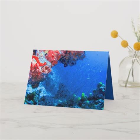 Beautiful Tropical Colorful Coral Sea Reefs Card Zazzle Creative Branding Design White