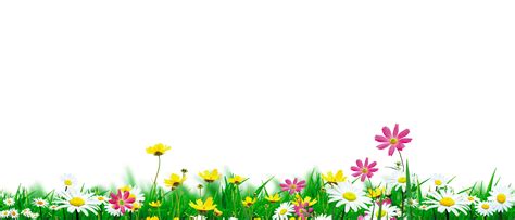Flower png hd images, stickers, vectors flowers are the beauty of nature in all places. Download Nature - Flowers In Full Bloom #1132414 - PNG ...