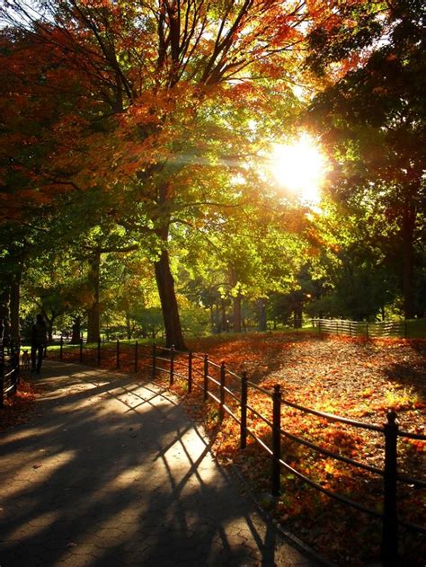 Autumn Central Park New York City Is A Beautiful Place To