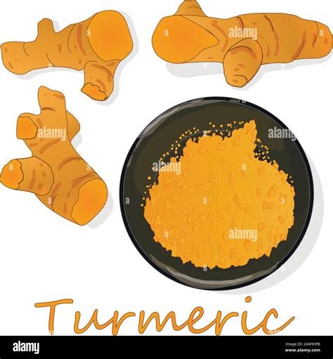 Tumeric India Stock Vector Images Alamy