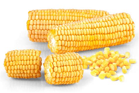 Download Corn Kernels Png Image With No Background