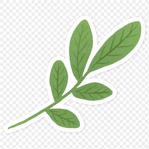 Green Leaves Sticker Transparent Png Free Png Sticker Rawpixel