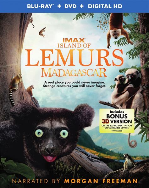 Island Of Lemurs Madagascar 2014 Avaxhome