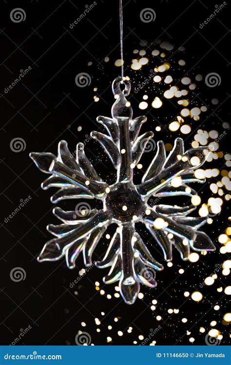 Snow Crystal Stock Photo Image Of Beautiful Pure Snowflake 11146650