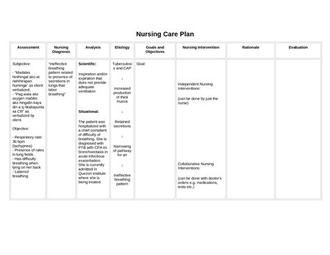 Doc Nursing Care Plan Ineffective Breathing Pattern Dokumentips