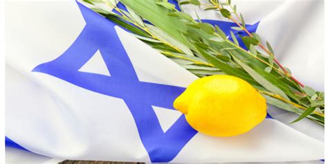 Sukkot The Prophetic Regathering Hope For Israel