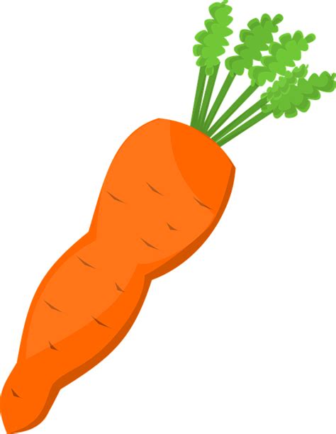 Carrot Food Greens · Free Vector Graphic On Pixabay