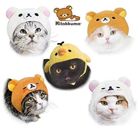 Four Different Kinds Of Cats Wearing Hats With Teddy Bears On The Top