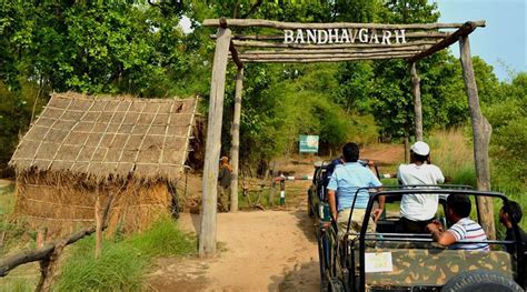 Bandhavgarh National Park Complete Travel Guide N H T