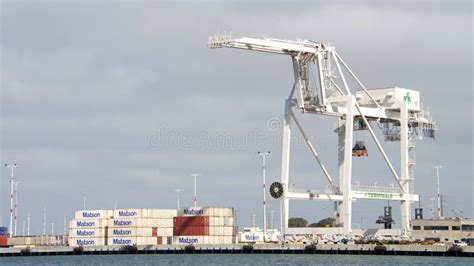 los posts estupendos panamax cranes en el puerto de oakland foto de archivo editorial imagen