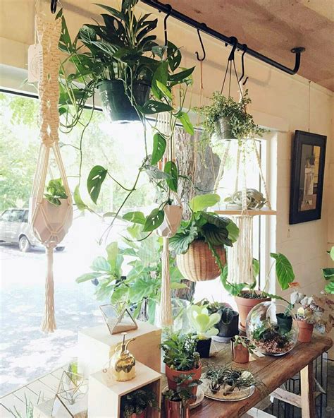 Charming 10 Diy Hanging Window Plant Ideas In 2020 House Plants