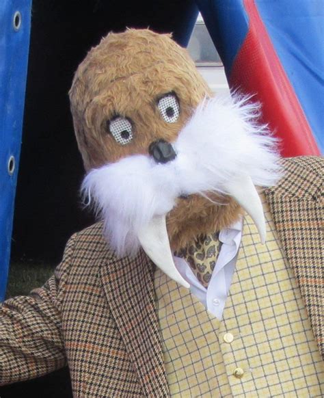 A Walrus Costume Created For A Recent Fancy Dress Event The Head Was