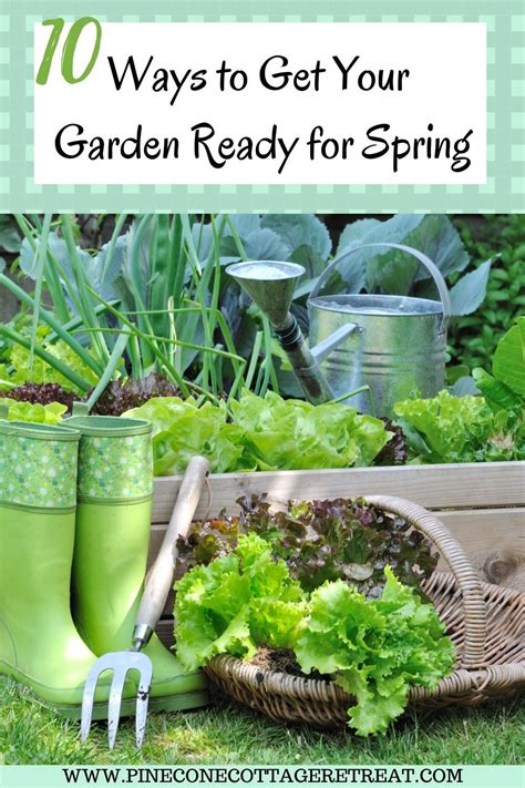Garden Boots Tools And Produce Ready For The Spring Garden Garden