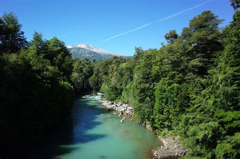 Turquoise Water River In Lush Green Forest With View Of Volcano Puyehue