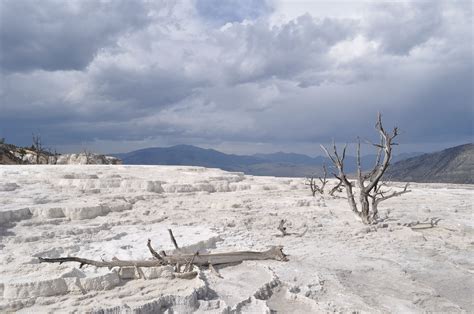 We did not find results for: Yellowstone | Yellowstone, Yellowstone national, National ...