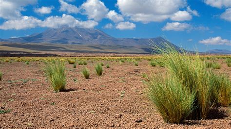 Maphead Atacama Desert the Driest Spot on Earth Condé Nast Traveler