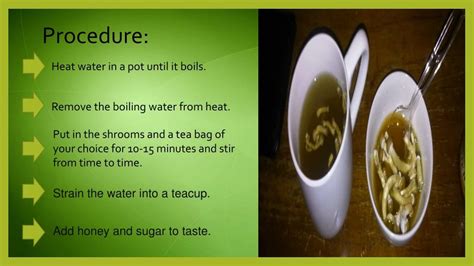 Ppt Magic Mushroom Tea Recipe How To Make It Powerpoint
