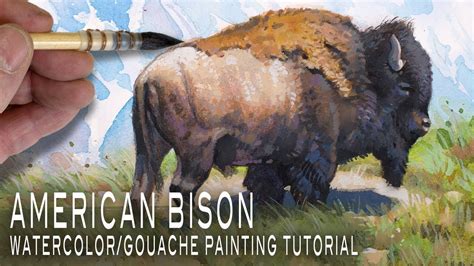American Bison Watercolor Gouache Painting Tutorial Youtube