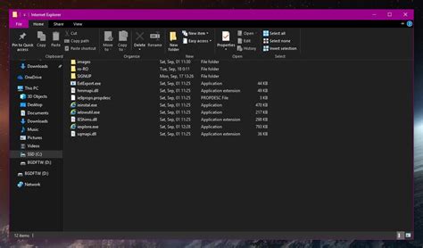 Windows 10 File Explorer Dark Theme Pofeorganic