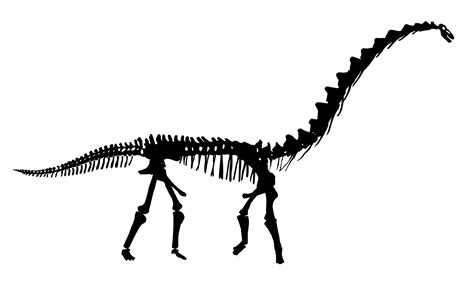 January 2013 Sauropod Vertebra Picture Of The Week