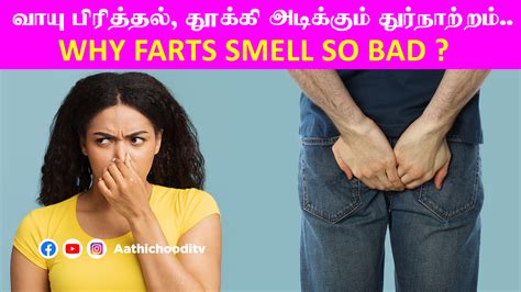 வாயு பிரித்தல் Everything About Farting Why Farts Smell So Bad