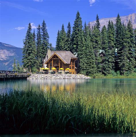 Cilantro On The Lake At Emerald Lake Lodge Field Bc Canadian Rockies