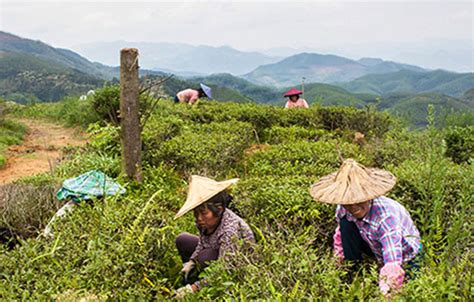 Opportunity And Strong Interest For Sustainable Agriculture In China