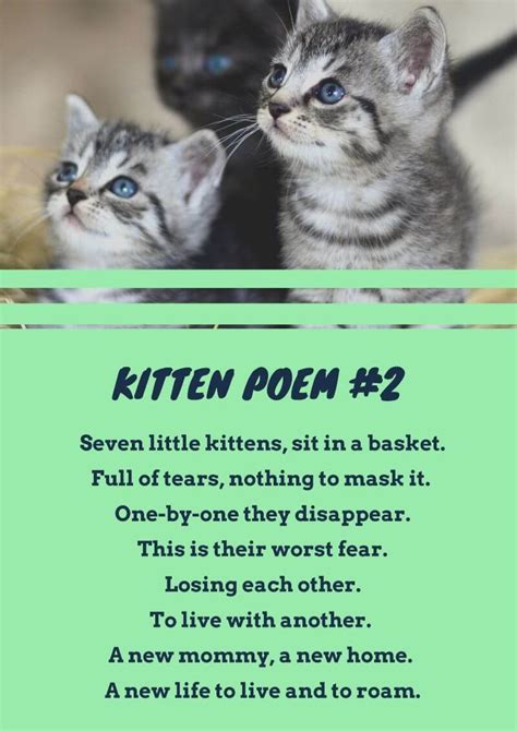 cat poems that rhyme