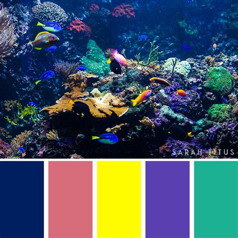 25 Ocean Inspired Color Palettes Sarah Titus
