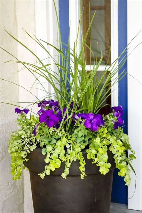 Amazing Front Door Container Gardening Ideas And Styling Tips Patio