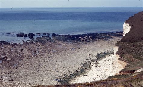 Wave Cut Platform In Chalk Cuckmere Cf Glamorgan Lias Flickr