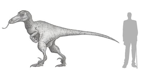 Velociraptor Spp Jurassic Park Novel By Lythroa On Deviantart