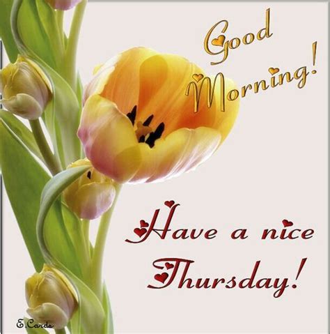 Good Morning Have A Nice Thursday Pictures Photos And Images For
