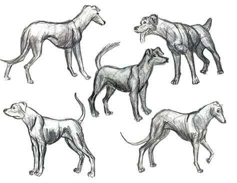 Dog Clipart Drawing At Explore Collection Of Dog