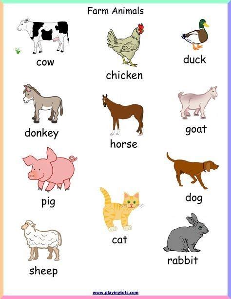 Lesson Note On Types And Classification Of Farm Animals Agricultural