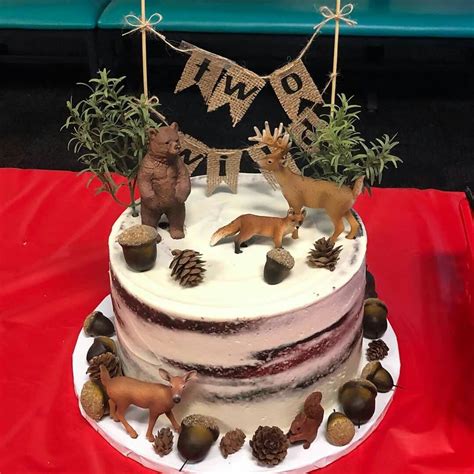Two Wild Birthday Cake 2nd Birthday Party Themes 2 Birthday Cake Birthday Cake