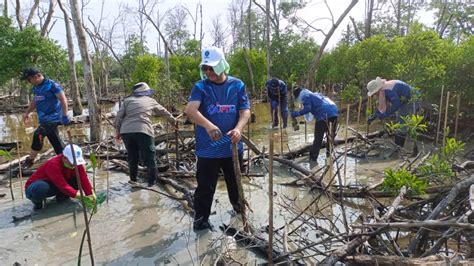 Program Penanaman Pokok Bakau Dan Spesies Spesies Yang Sesuai Di