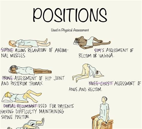 Nursing Positions For Physical Assessment Etsy