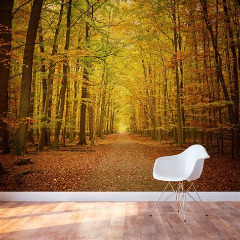 Autumn Forest Path Wall Mural